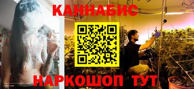 индика Кинель