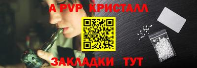 хмурый Кингисепп