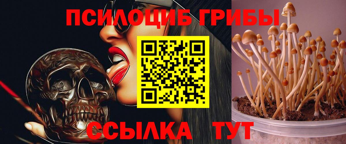 Галлюциногенные грибы Magic Shrooms Котлас